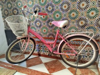 Bicicleta rosa niña/mujer