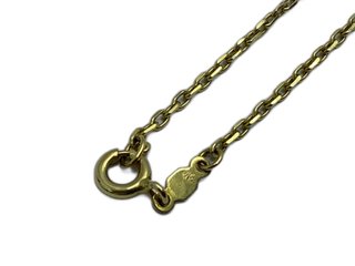 E1213062-0 CADENA ORO 18K 25CM