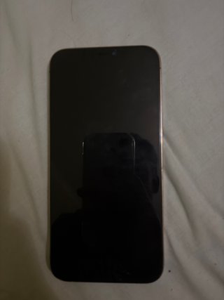 iPhone 12 Pro Max Dorado