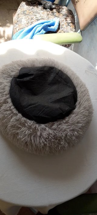 Cama Redonda para Mascotas
