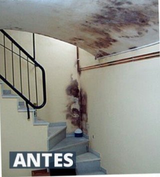 Pintor