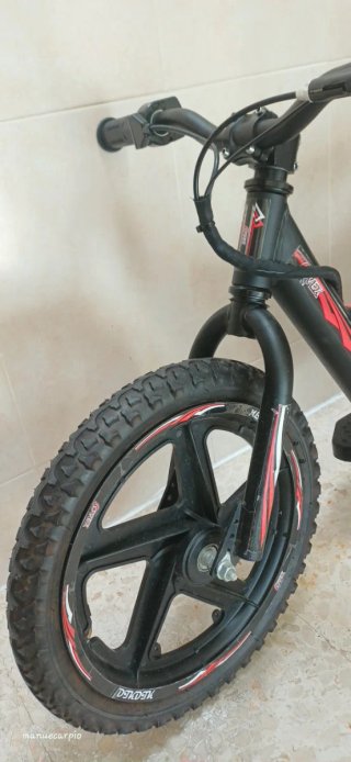 Bicicleta eléctrica