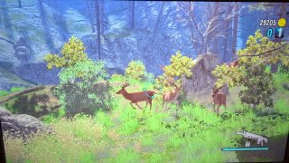 Cabela's Dangerous Hunts 2011 Caza PS3