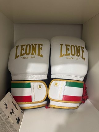 Guantes de Boxeo Leone