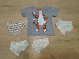 Lote Ropa Bebé Talla 3-6 Meses