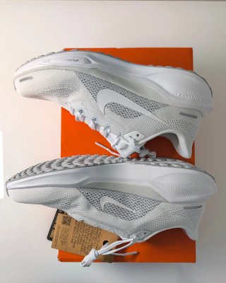 Zapatillas Nike Pegasus 41 Blancas T. 40