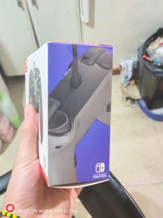 Mando Nintendo Switch The Legend of Zelda