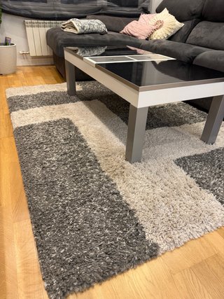 Alfombra Crema y Gris 200x145cm