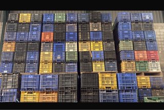 Cajas de plástico para fruta (lote)