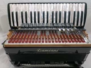 Acordeón Ottavianelli Damiani 120 Bajos