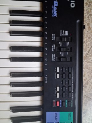 Teclado Casio CA-100 Tone Bank