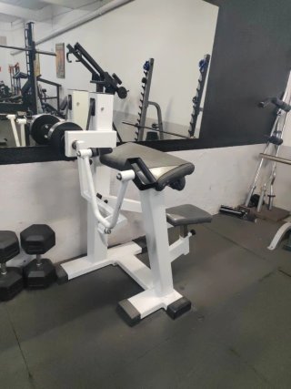 Máquina de Bíceps Gervasport con Discos