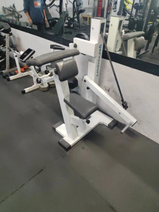 Máquina de Bíceps Gervasport con Discos