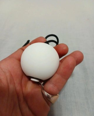 Poké Ball Plus de Nintendo