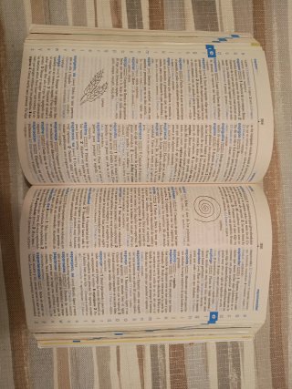 Diccionario de castellano especial para primaria