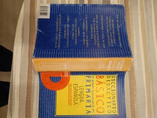 Diccionario de castellano especial para primaria