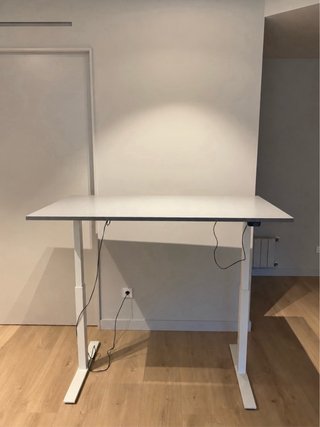 Mesa Escritorio Elevable Eléctrica Rodulf