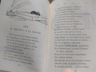 Cuentos extraordinarios