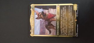 Magic The Gathering Albóndiga Fallout
