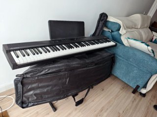 Teclado Alesis con funda