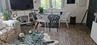 4 Sillas de Comedor Diseño Orgánico