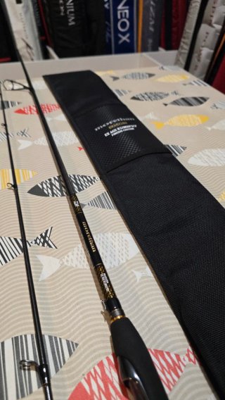 DAIWA MORETHAN BRANZINO EXPERT AGS 832MHFSCF 251