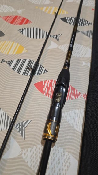 DAIWA MORETHAN BRANZINO EXPERT AGS 832MHFSCF 251
