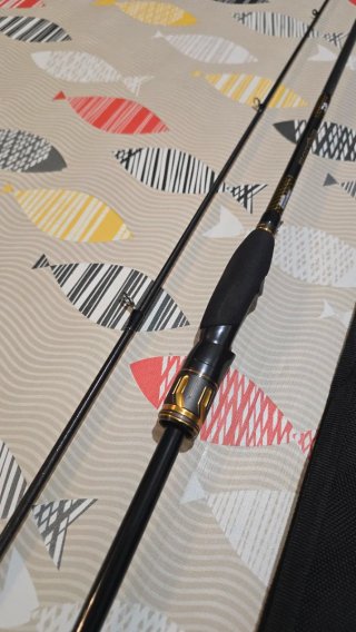 DAIWA MORETHAN BRANZINO EXPERT AGS 832MHFSCF 251