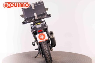 SUZUKI DL 800 DE