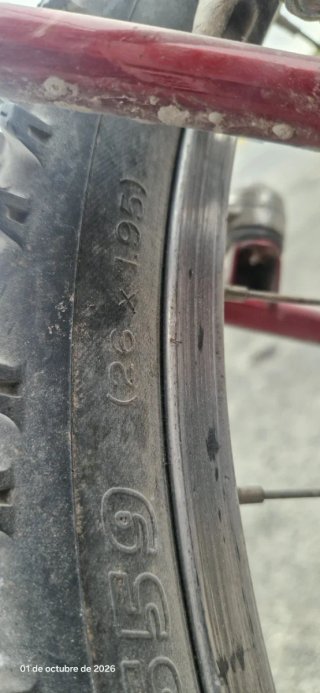 Bicicleta