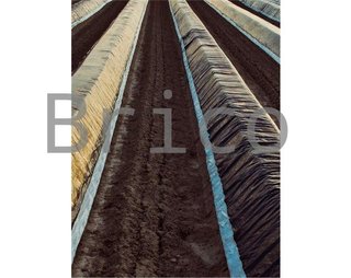 Plástico Negro Agricultura Obra G600 - 1/4 - 4x50 Metros