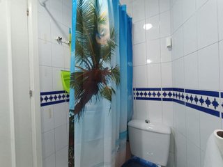 Piso en alquiler en Centro Internacional en Torrox