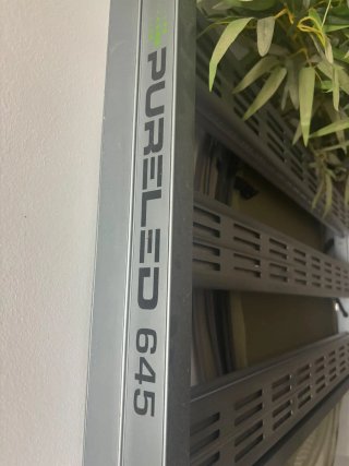 Foco LED PureLED 645