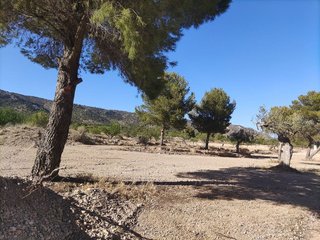 Solar en venta en Pinós