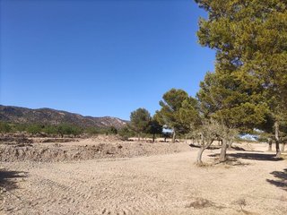 Solar en venta en Pinós
