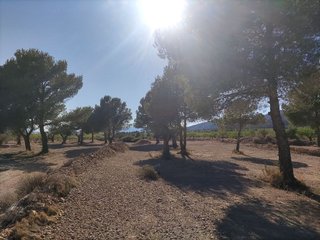 Solar en venta en Pinós