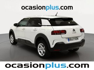 Citroen C4 Cactus BlueHDi 100 S&S Feel 73 kW (99 CV)