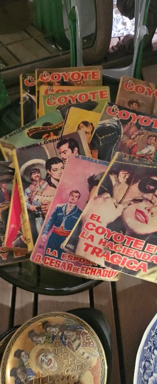 Novelas el coyote