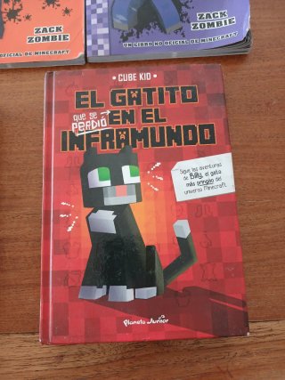 5 Libros minecraft