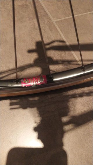 Bicicleta Edyy Merck Columbus SL Campagnolo