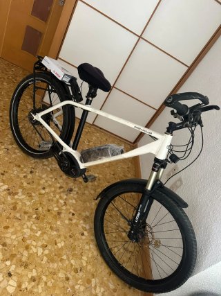 Bicicleta Eléctrica Blanca Bosch eBike systems