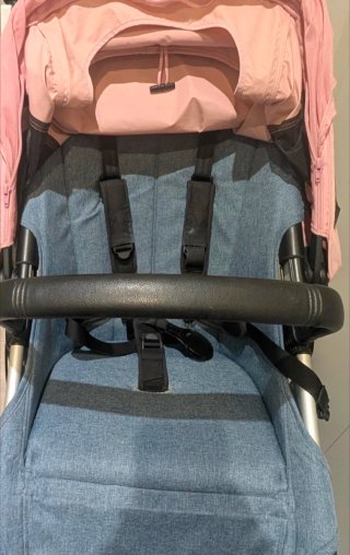 Bugaboo Camaleón 3 Edición Limitada
