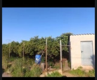 Huerto con árboles frutales y caseta en alquiler