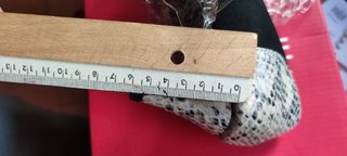 Mariamare zapatos estampado serpiente T.37 + caja