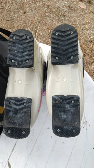 Botas de Esquí