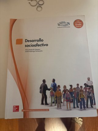 Desarrollo socioafectivo