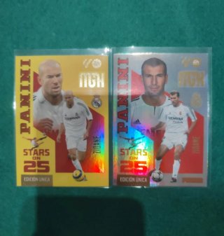 Panini Stars on 25 Zinedine Zidane