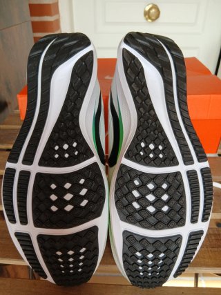 Nike Air Zoom Pegasus 40 Talla 46