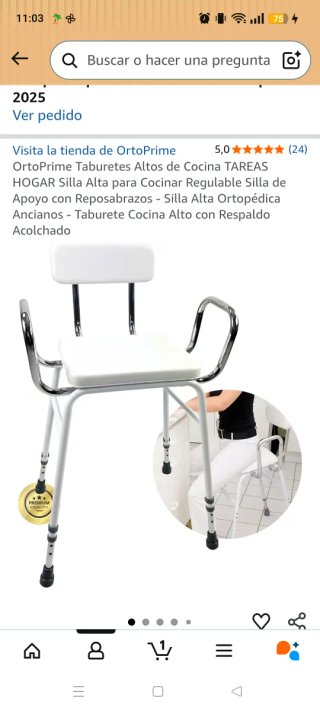 Silla ortopédica