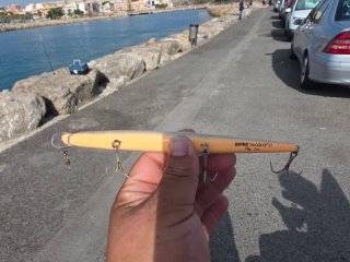 Rapala MaxRap 17 Señuelo de Pesca